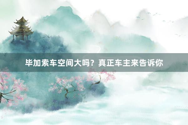 毕加索车空间大吗？真正车主来告诉你